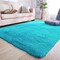 Soft Fluffy Thick Indoor Rug for Home Decor Living Room Bedroom